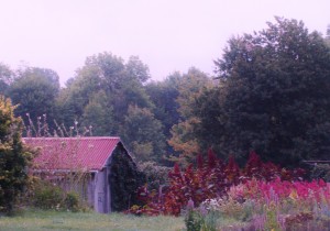 Evening on the Proudfoot farm in West Virginia