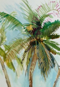 lesson on how to draw a palm tree, Lillian Kennedy, watercolor and gouache