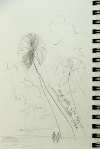 lesson on how to draw a palm tree, Lillian Kennedy, pencil