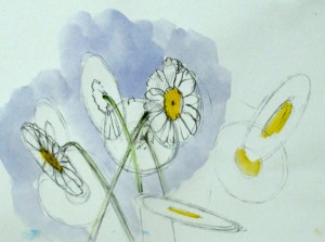 daisy drawing, how to draw a daisy