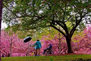 BERNARD P HUANG photo of Lillian Kennedy in the Brooklyn Botanic Garden with Magda Feuerstein i