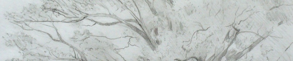 How to draw a tree, Lillian Kennedy - tree drawing (weeklyartlesson.com)