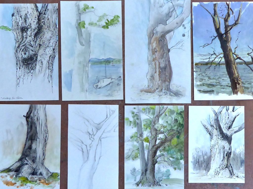 Tree trunks various drawing media